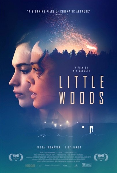 Little Woods (2019) poster