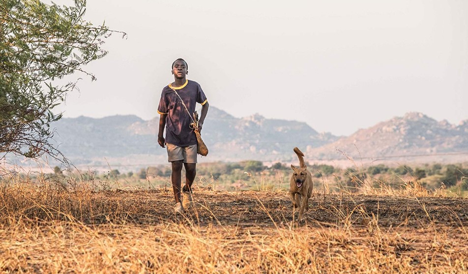 The Boy Who Harnessed the Wind (2019) scenes