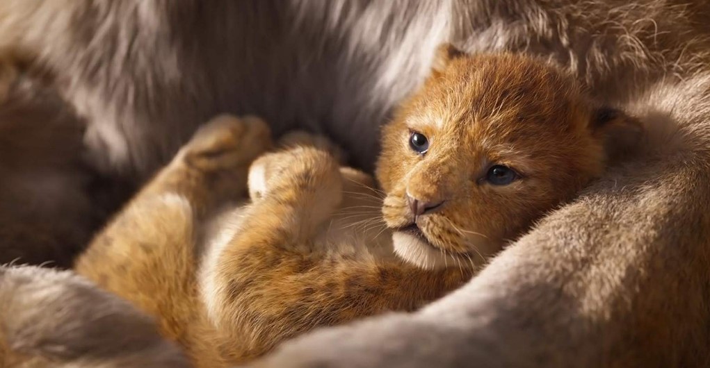 The Lion King (2019) Scenes