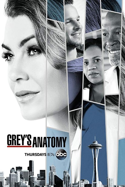 Grey's Anatomy Season 15 Poster