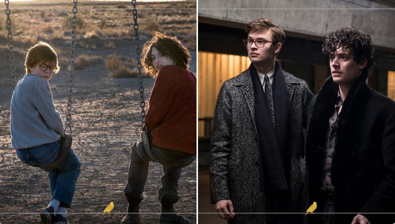 The Goldfinch (2019)