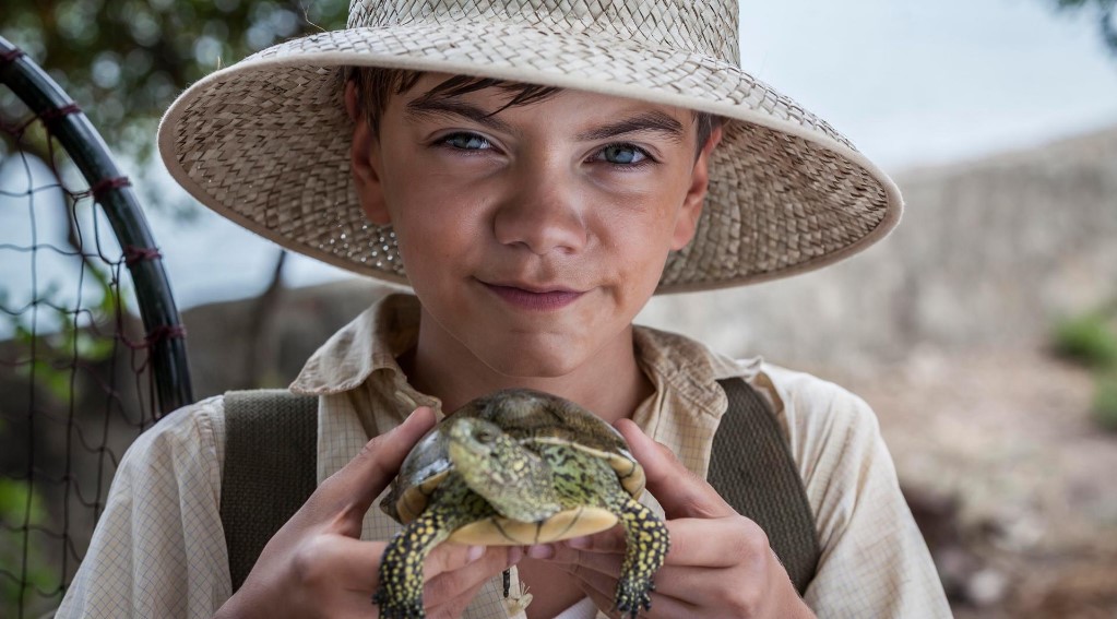 The Durrells in Corfu Season 5