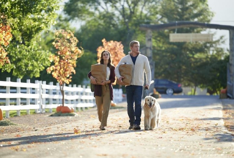Love, Fall & Order (2019)
