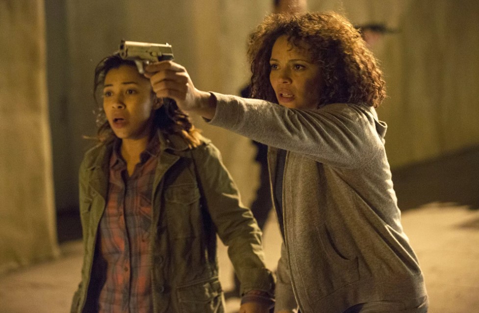 Rattlesnake (2019)