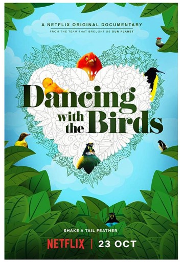 Dancing With the Birds Poster