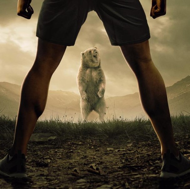 Man Vs Bear TV Series (2019)