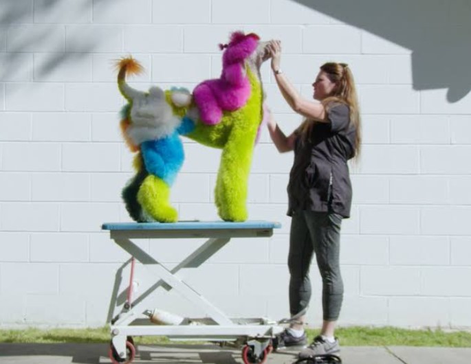Well Groomed (2019)