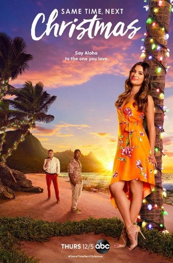 Same Time, Next Christmas (2019) Poster