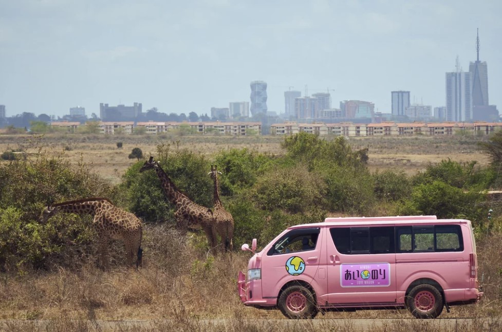 Ainori Love Wagon: African Journey TV Series (2020)