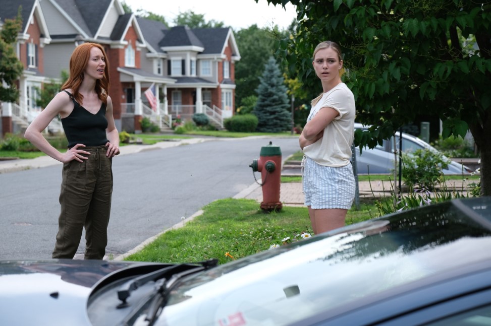 The Babysitter's Revenge (2020)