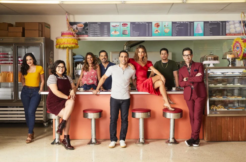 The Baker and the Beauty TV Series (2020)