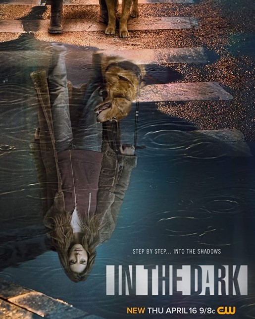 In the Dark Season 2 Poster