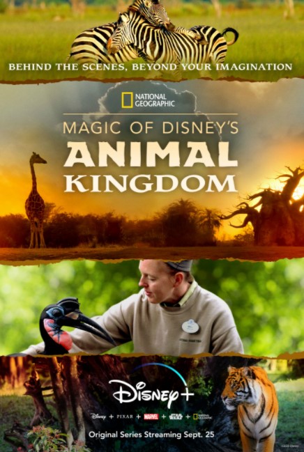 Magic of Disney's Animal Kingdom (2020) Poster